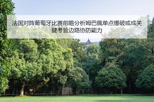 fa-guo-dui-zhen-pu-tao-ya-bi-sai-qian-zhan-fen-xi-mu-ba-pei-dan-dian-bao-po-huo-cheng-guan-jian-kao-yan-bian-lu-xie-2-722.jpg
