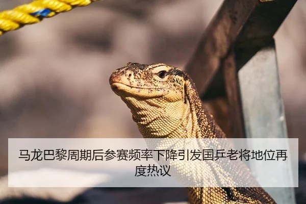马龙巴黎周期后参赛频率下降引发国乒老将地位再度热议