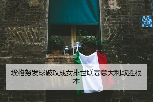 ai-ge-nu-fa-qiu-po-gong-cheng-nv-pai-shi-lian-sai-yi-da-li-qu-sheng-gen-ben-3-558.jpg