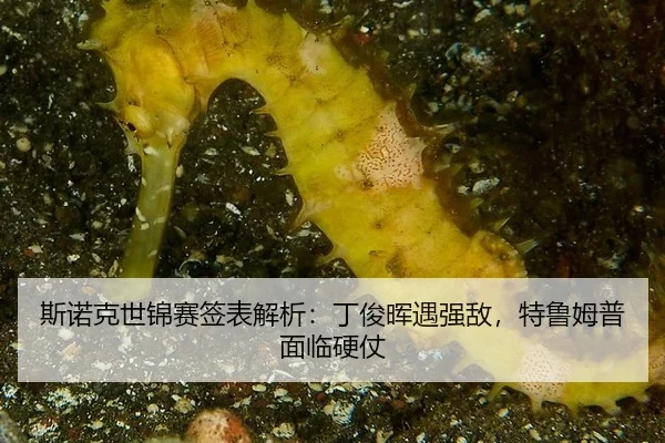 斯诺克世锦赛签表解析：丁俊晖遇强敌，特鲁姆普面临硬仗