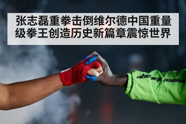 Zhang Zhilei Wilder fight