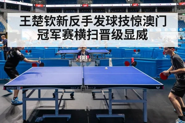 professional table tennis match