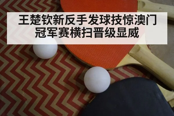 ping pong close up