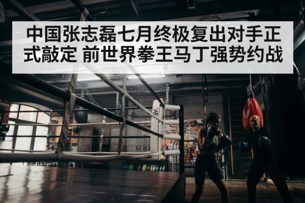 boxer training