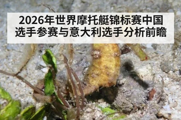 2026年世界摩托艇锦标赛中国选手参赛与意大利选手分析前瞻